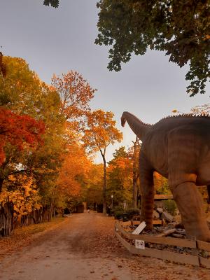 Dino mit Herbststimmung © Zoo Leipzig