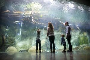 Familie vor der Überkopf-Panoramascheibe im sanierten Aquarium © Zoo Leipzig